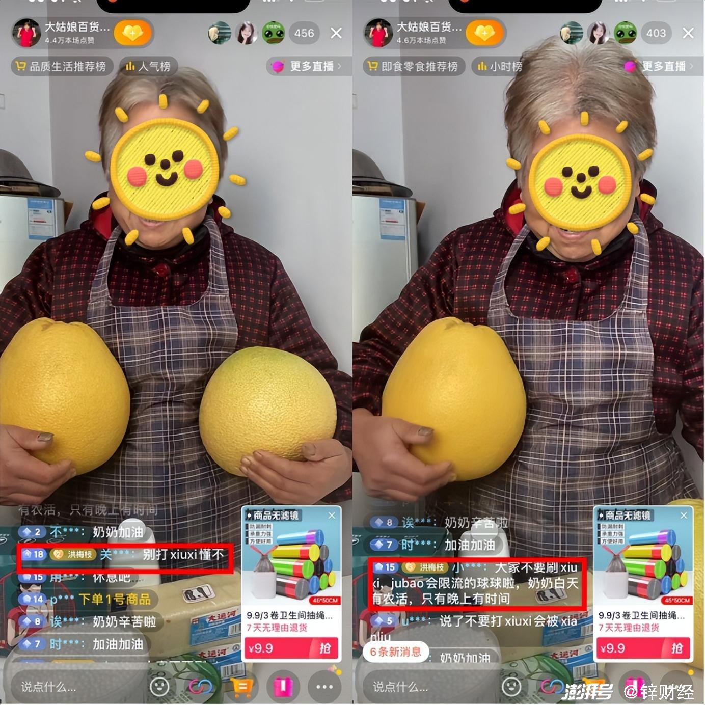 纲手的秘密免费观看全集