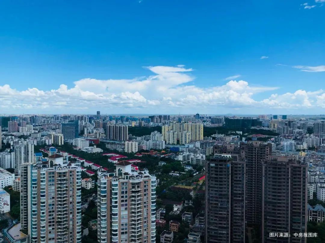 纲手的秘密免费观看全集